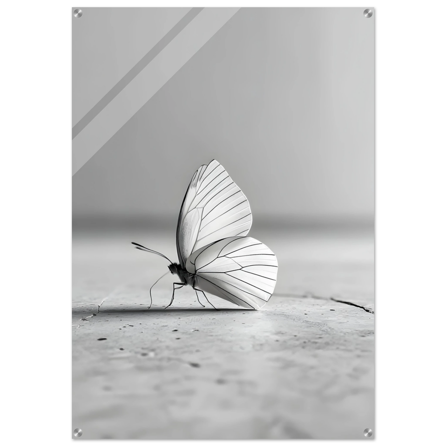 f38930f5-f468-4375-9201-3b8f265295ff