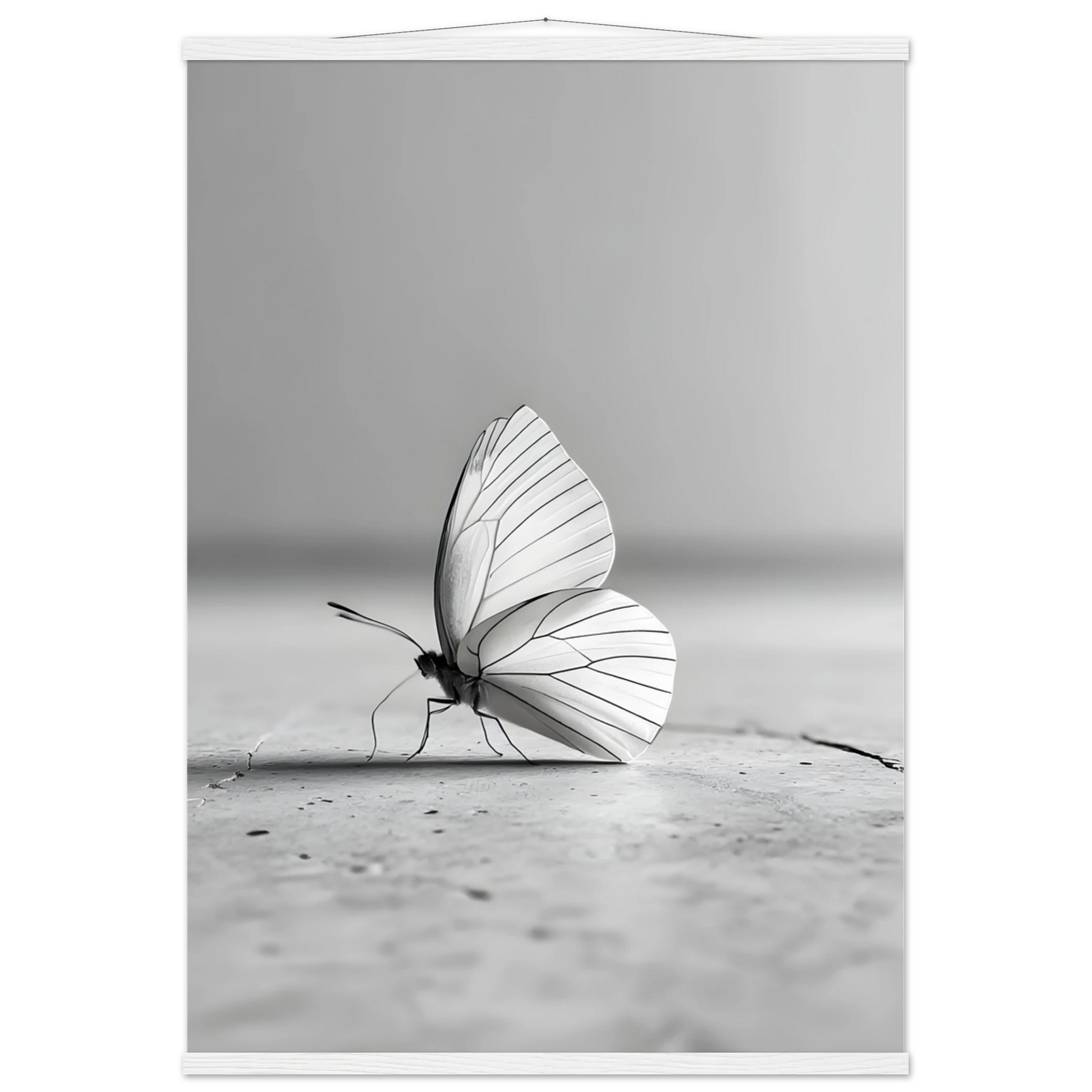 507ee003-4aa3-427d-96a4-4b90928c9cb0