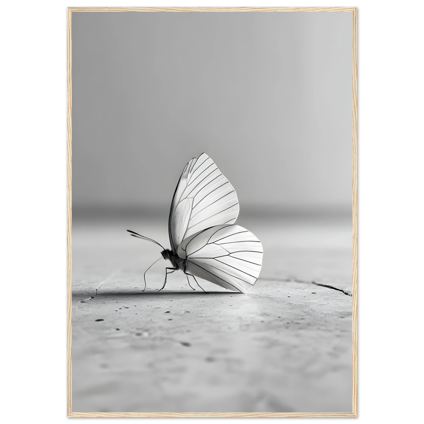 7916f886-bb63-4fa1-8608-f3f7d91a26eb