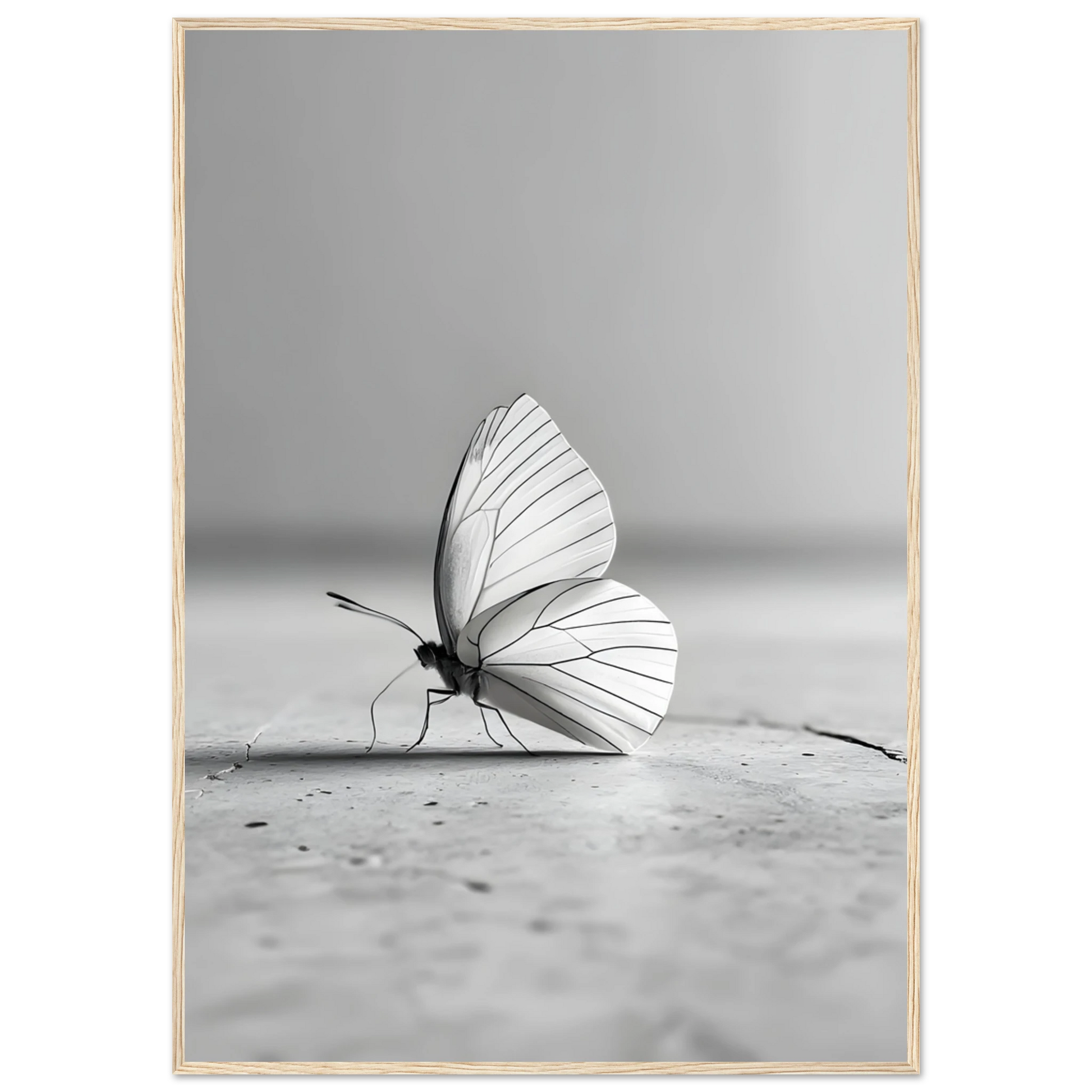 7916f886-bb63-4fa1-8608-f3f7d91a26eb